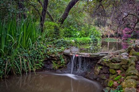 Check spelling or type a new query. DIY Natural Swimming Pool | DoItYourself.com