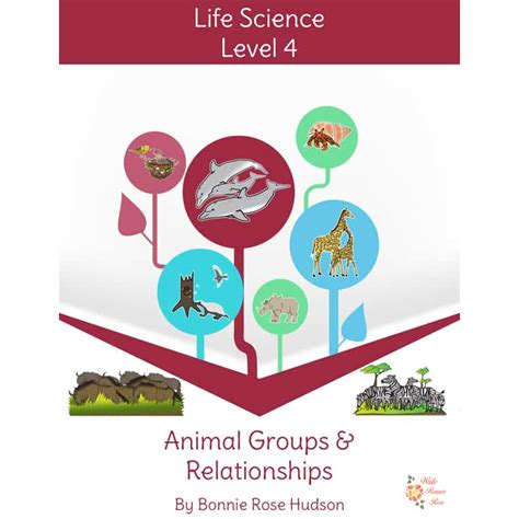 Animal Groups And Relationships Learning About Science Level 4 Ebook