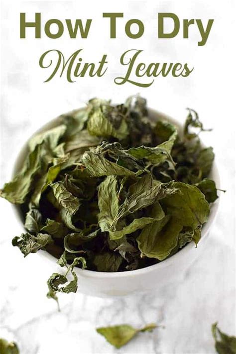 How To Dry Mint Leaves For Tea The Taste Of Kosher