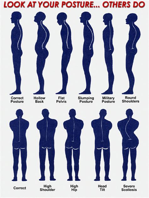 Posture The Structure Of Health Complete Chiropractic And Sports Therapy