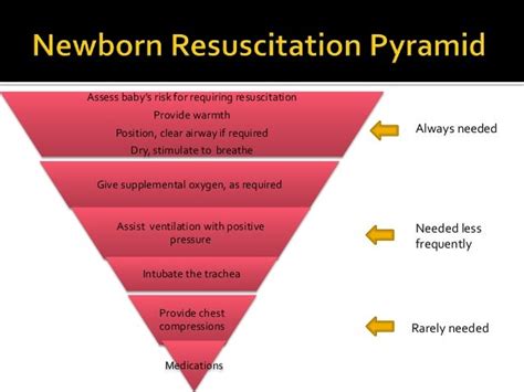 Neonatal Resuscitation Programme Nrp