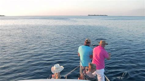 We left angsana velavaru by 5pm after a day with mixed weather. 2103 Dolphin Watching Sunset Cruise in the Maldives - YouTube