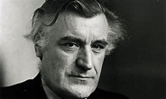How the actions of the Ted Hughes estate will change my biography ...