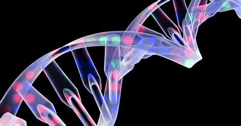 Genética y conducta los genes deciden cómo actuamos