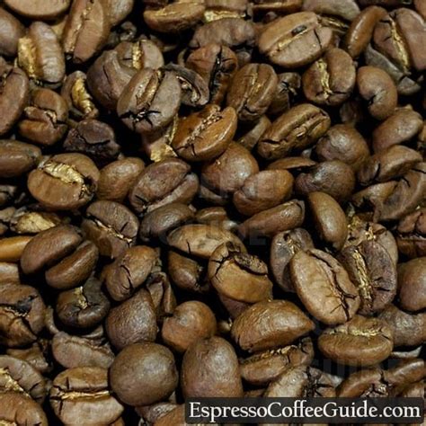 Brazilian Coffee Beans Espresso And Coffee Guide