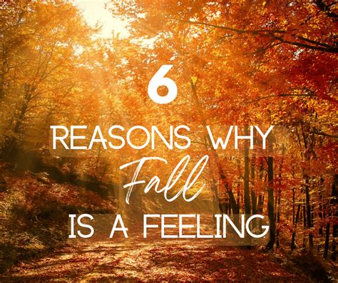 6 reasons why fall is a feeling