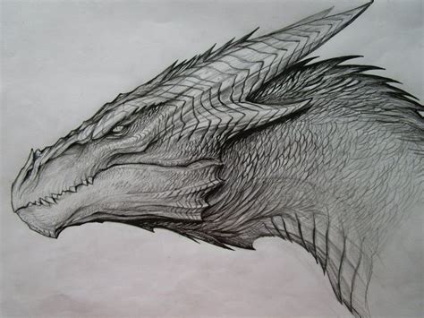 The 25 Best Dragon Drawings Ideas On Pinterest Dragon
