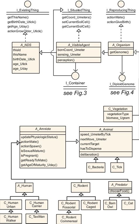 Uml Based Class Diagram Describing Agents Within The Model As