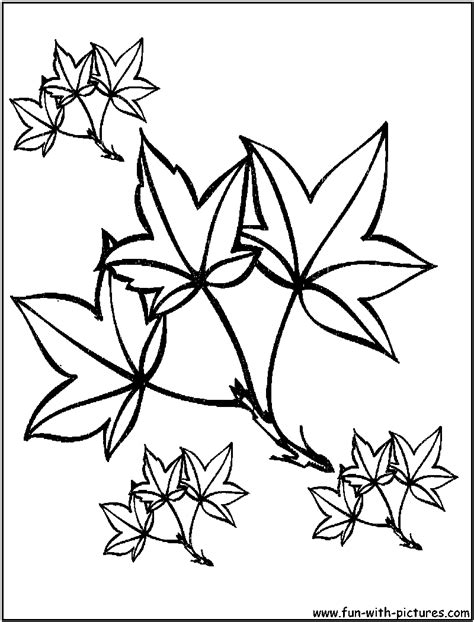 Autumn Leaves Coloring Pages - Free Printable Colouring Pages for kids