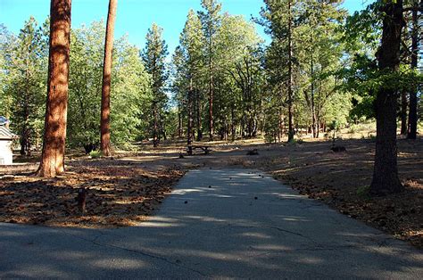 San Gorgonio Southern California Campgrounds Campsite Camping Guide