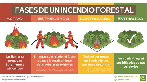 De Conato A Extinguido Fases Y Grados De Los Incendios Forestales