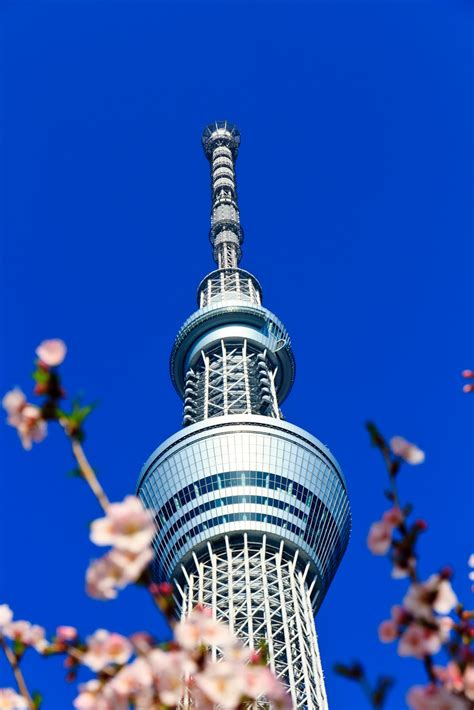 Landscape Photography Tokyo Skytree Tower Worlds Tallest Structure