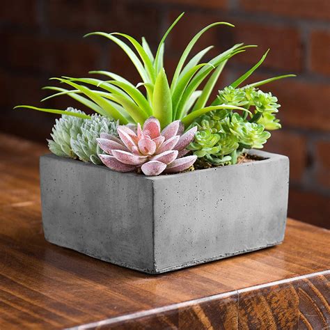 Myt Faux Potted Assorted Succulents Plants In Grey Planter