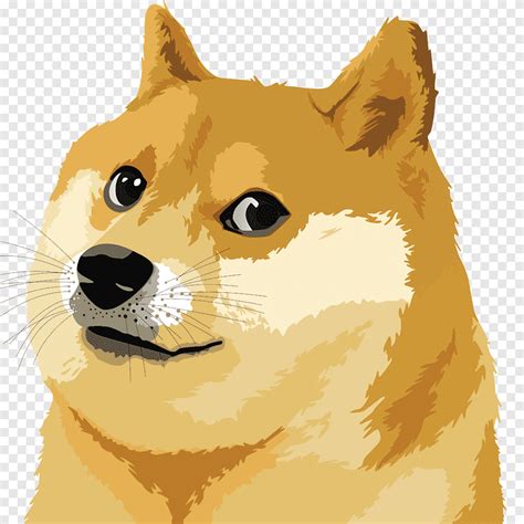 Free Download Shiba Inu Dogecoin Scalable Graphics Animated Dog Tv