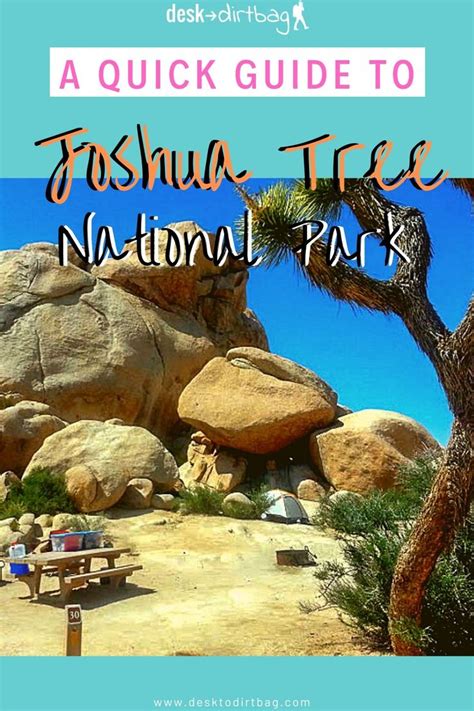 A Brief Guide To Joshua Tree National Park One Of Californias Best