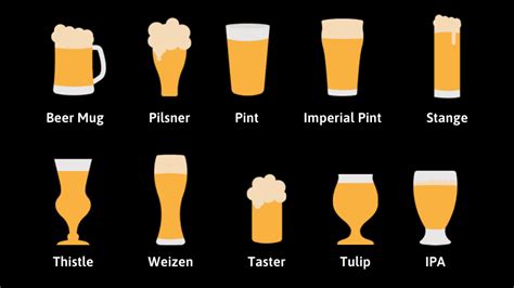 types of beer glasses explained