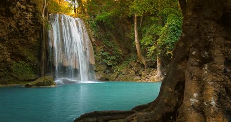 Tranquil And Serene Scene Of Waterfall Falling In Wild Pond In Jungle