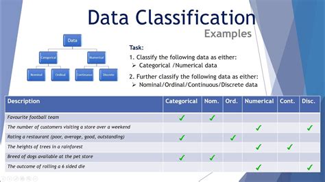 Data Classification Types Ppt Icon Presentation Powerpoint Templates