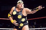 The power and the glory of Dusty Rhodes: The "American Dream" who ...