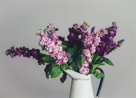 Free Images Branch Blossom Purple Bloom Vase Pink Flora Lilac