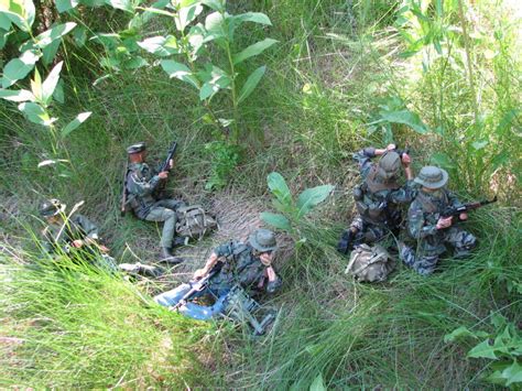 Can agent orange exposure cause ulnar nerve damage? no: Vietnam -THE WAR PLUS AGENT ORANGE and MORE : PERIPHERAL ...