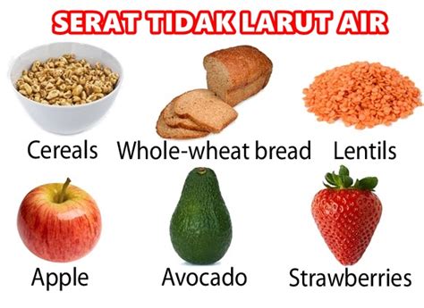 We did not find results for: Khasiat Serat & Fiber | Kelebihan Forever Fiber Untuk ...