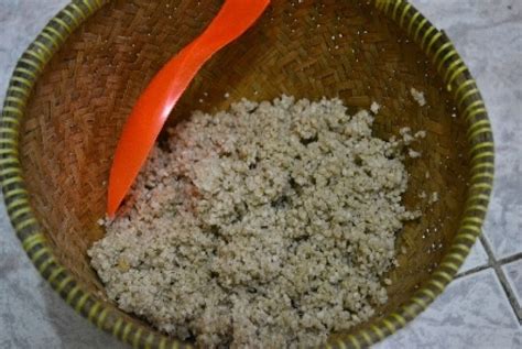 Ia mengandalkan berbagai bahan nabati sebagai asupannya termasuk nasi singkong atau kerap disebut oyek. Yuk, Buat Nasi Dari Singkong | Republika Online