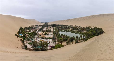 Wallpaper Nature Landscape Desert Sand Oasis Water Palm Trees