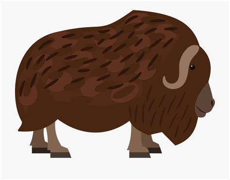 Musk Ox Clipart 10 Free Cliparts Download Images On Clipground 2024