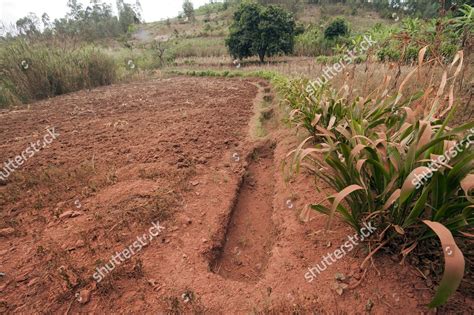 Ditches Dug Hillside Field Help Collect Editorial Stock Photo Stock