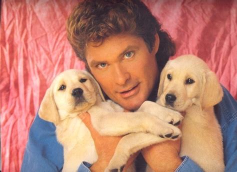David Hasselhoff With Puppies