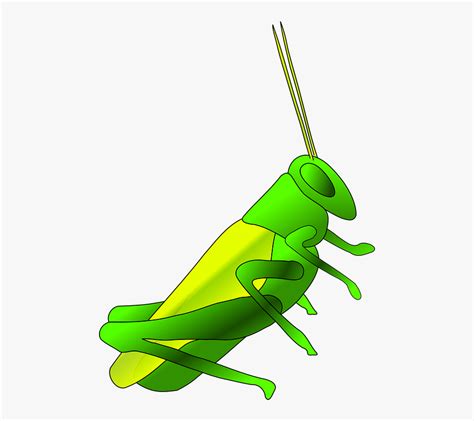 Cricket Insect Images Cartoon á ˆ Cartoon Cricket Insect Stock