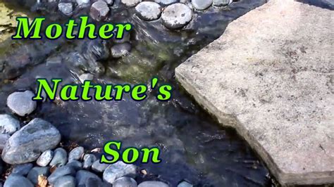 Mother Natures Son The Beatles Acoustic Cover Youtube