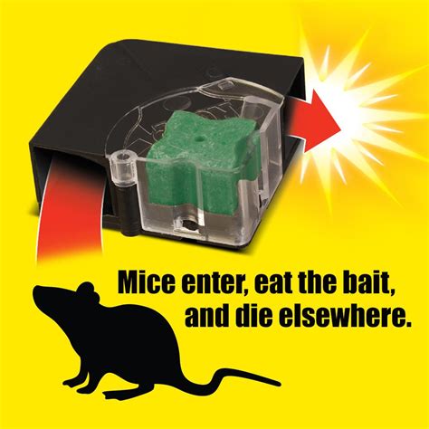 D Con Refillable Corner Fit Mouse Poison Bait Station 1 Trap 20 Bait