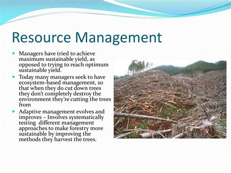 Ppt Forest Management Powerpoint Presentation Free Download Id1775943