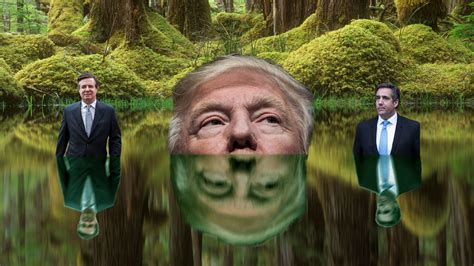 Opinion Under Trump The Swamp Is Draining The New York Times
