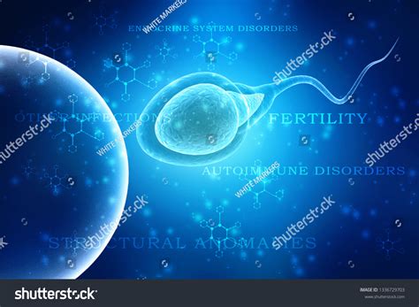 3d Illustration Human Sperm Cell Stock Illustration 1336729703 Shutterstock