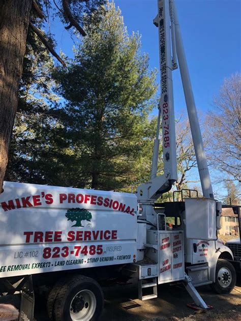 By december 2006, over 1,237,000 square kilometers of forest land in canada (abo ut half the global total) had been certified as being sustainably managed (canad ian sustainable forestry certification coalition). Welcome To Mikes Professional Tree Services! Local Rhode ...