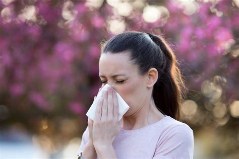 Allergie Au Pollen La Quasi Totalité De La France Placée En Alerte Rouge