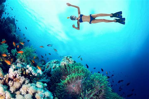 Scuba diving (Snorkeling) | Santorini 360 Tours | Catamaran Cruises ...