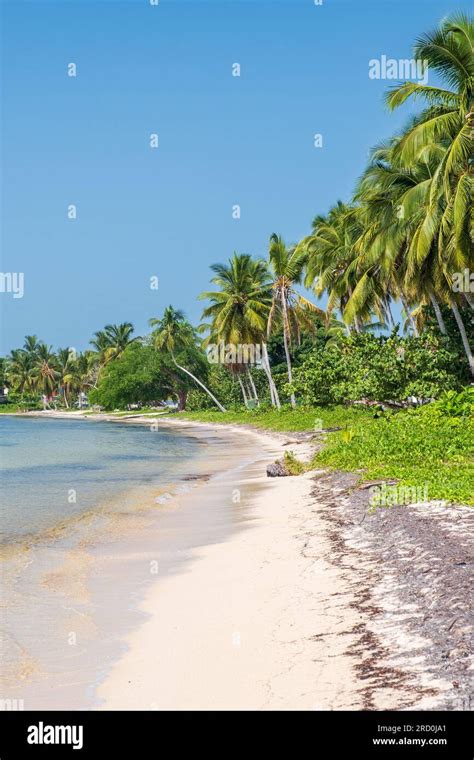 The Beach At Playa Larga On The Zapata Peninsula In Cuba Stock Photo