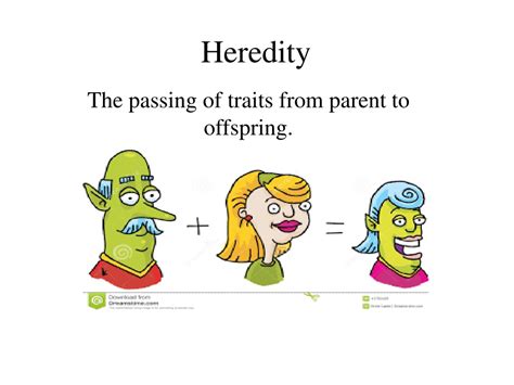 Ppt Heredity Powerpoint Presentation Free Download Id373864
