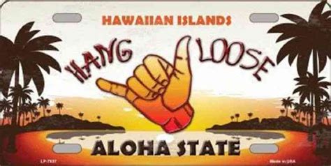 Hang Loose Hawaii Aloha State Background Metal Novelty