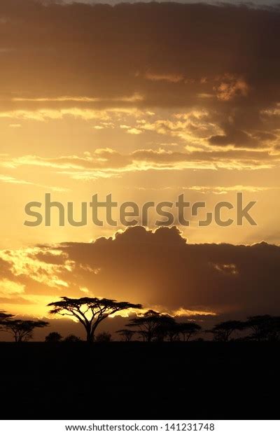 Sunset African Savanna Stock Photo Edit Now 141231748