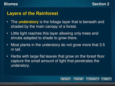 Section 2 Forest Biomes Ppt Download