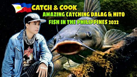 Amazing Catching Dalag And Hito Fish In The Philippines 2022 Catch And Cook