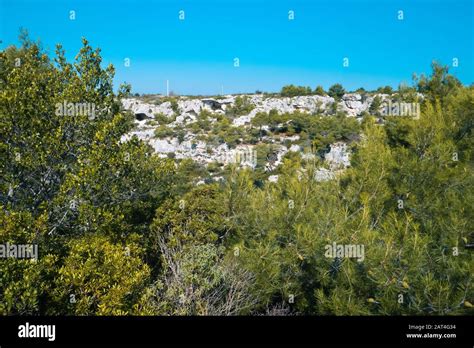 Mediterranean Maquis In Sunny Morning Stock Photo Alamy