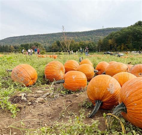 The Best Of Fall Experiences In Connecticut