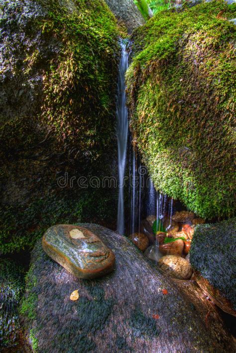 Water Scene Stone And Moss Stock Image Image Of Cascade Scenic