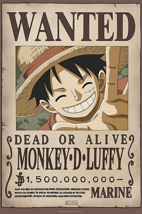 One Piece Wanted Luffy Poster Grote Posters Europosters